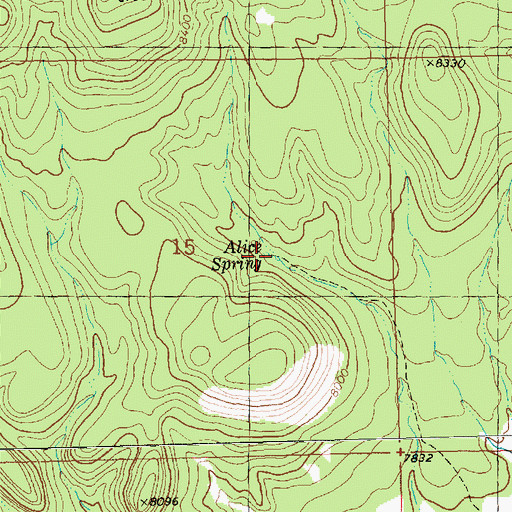 Topographic Map of Alice Spring, NM