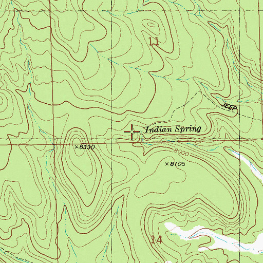 Topographic Map of Indian Spring, NM