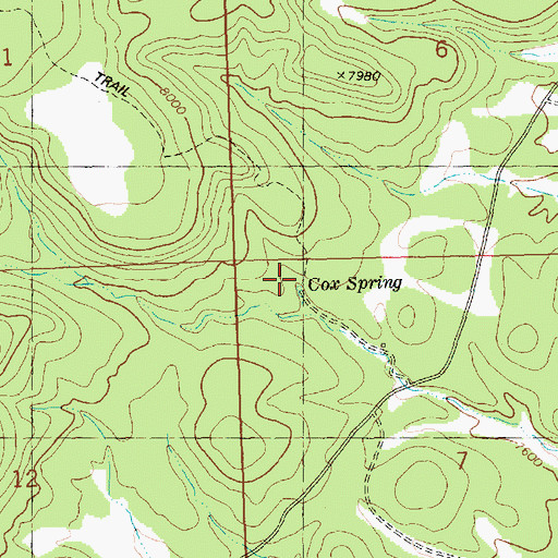 Topographic Map of Cox Spring, NM