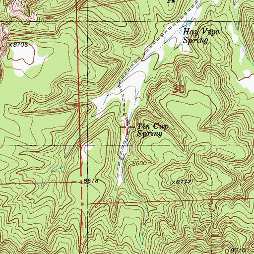 Topographic Map of Tin Cup Spring, NM