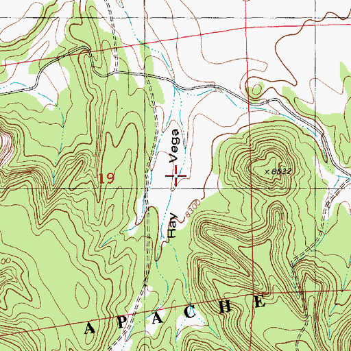 Topographic Map of Hay Vega, NM