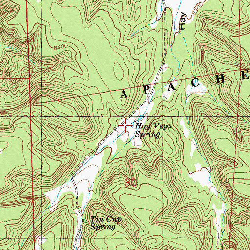 Topographic Map of Hay Vega Spring, NM