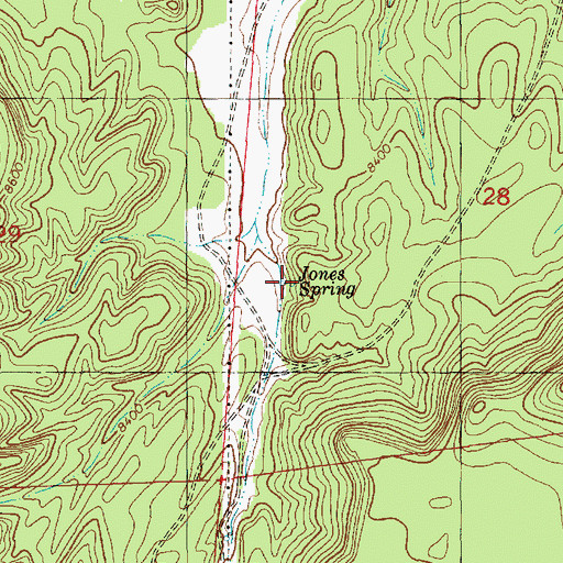 Topographic Map of Jones Spring, NM