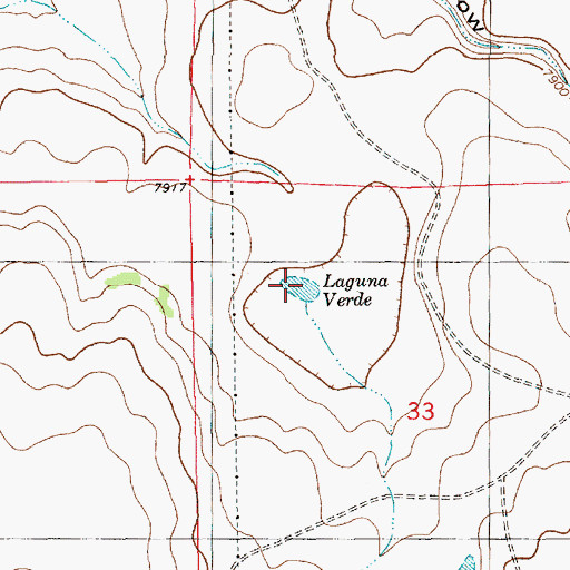 Topographic Map of Laguna Verde, NM