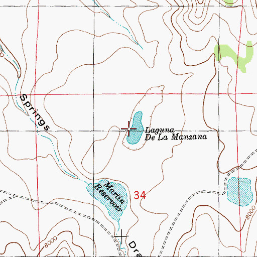Topographic Map of Laguna de la Manzana, NM