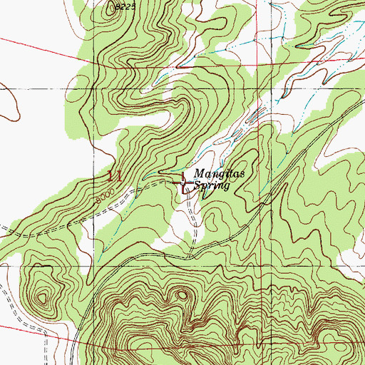 Topographic Map of Mangitas Spring, NM