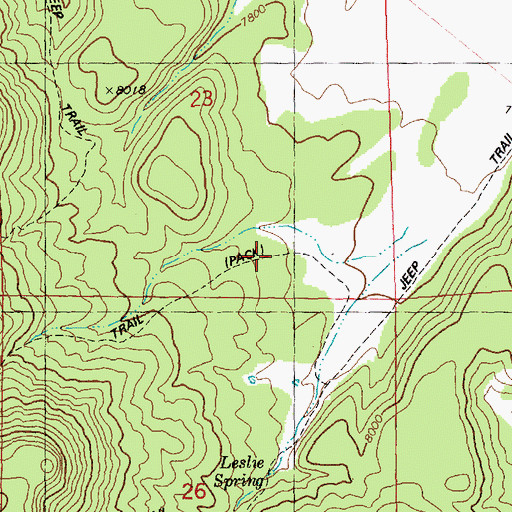 Topographic Map of Leslie Spring Trail, NM