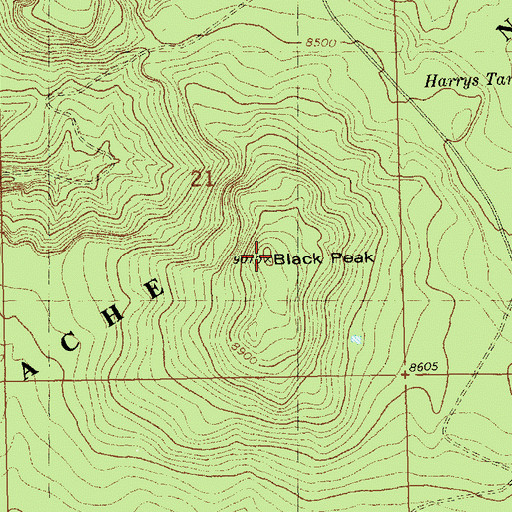 Topographic Map of Black Peak, NM