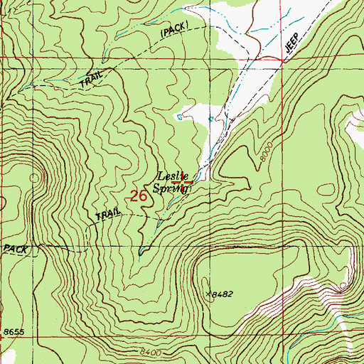 Topographic Map of Leslie Spring, NM