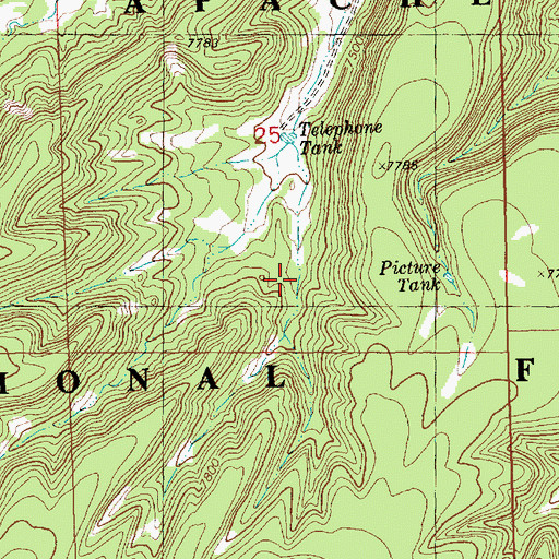 Topographic Map of Picture Tank, NM