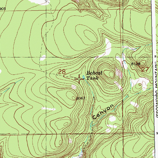Topographic Map of Bobcat Tank, NM