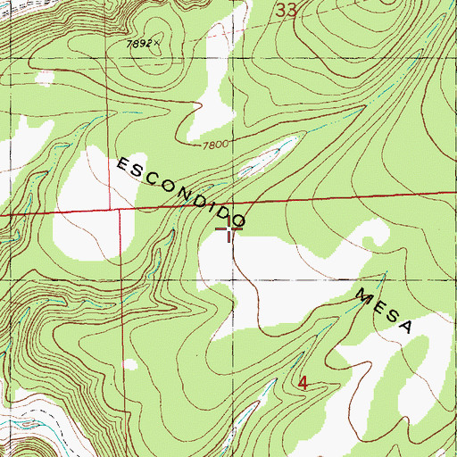 Topographic Map of Escondido Mountain, NM