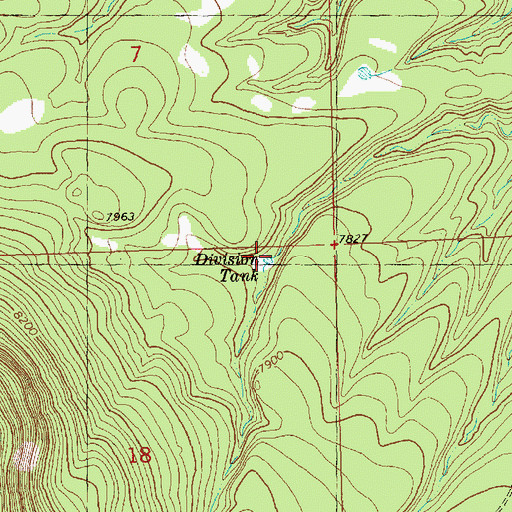 Topographic Map of Division Tank, NM