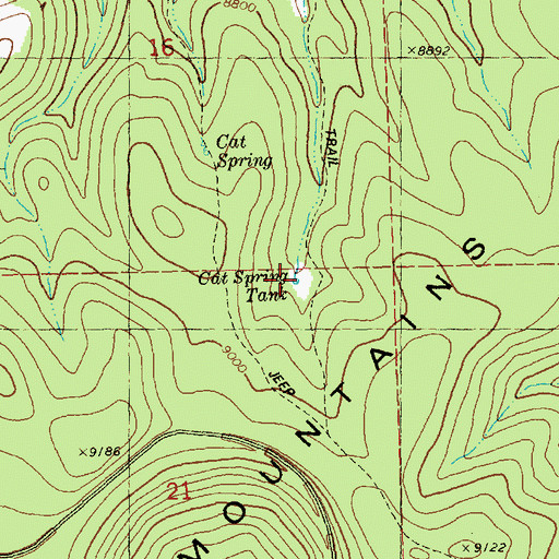 Topographic Map of Cat Spring Tank, NM