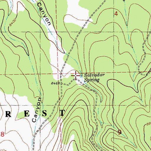 Topographic Map of Salvador Spring, NM