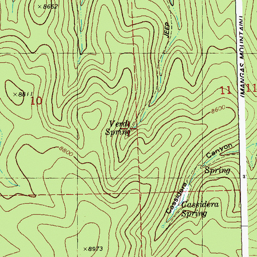 Topographic Map of Verde Spring, NM
