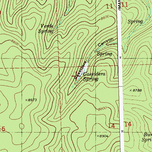 Topographic Map of Cassidera Spring, NM