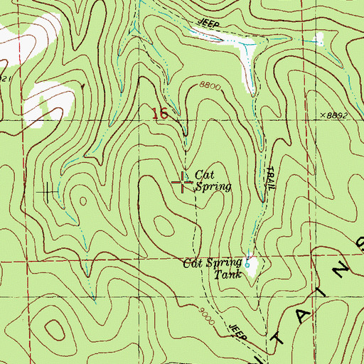 Topographic Map of Cat Spring, NM