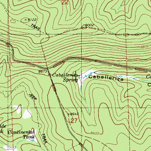 Topographic Map of Caballeriza Spring, NM