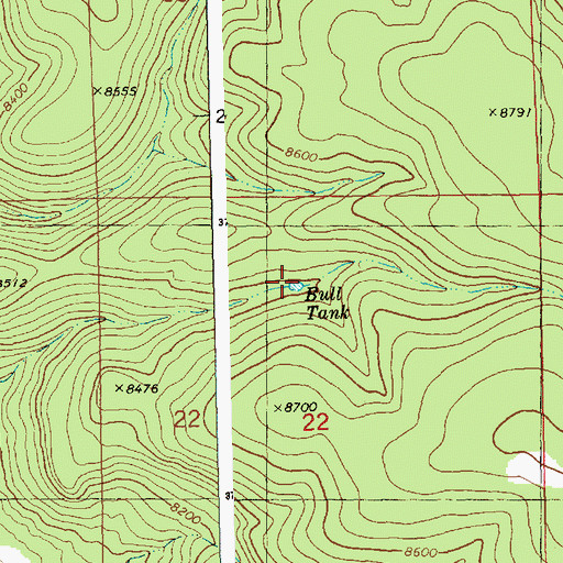 Topographic Map of Bull Tank, NM