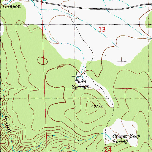 Topographic Map of Twin Springs, NM