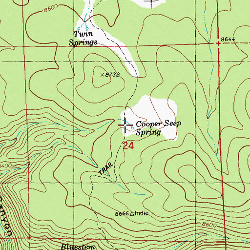Topographic Map of Cooper Seep Spring, NM