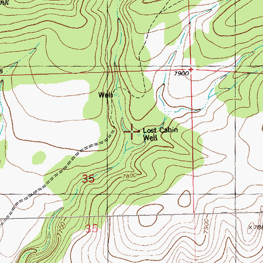 Topographic Map of Lost Cabin Well, NM