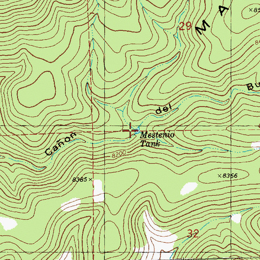 Topographic Map of Mestenio Tank, NM