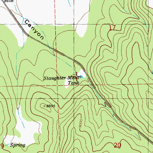 Topographic Map of Slaughter Mesa Tank, NM
