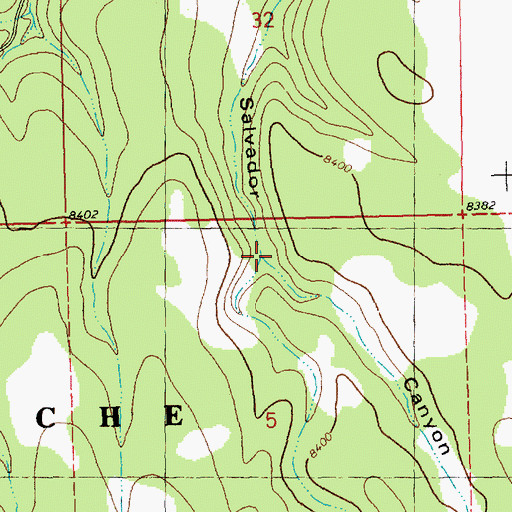 Topographic Map of Dead Horse Canyon, NM