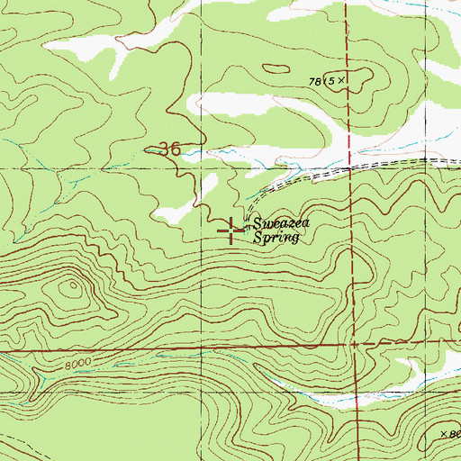 Topographic Map of Sweazea Spring, NM