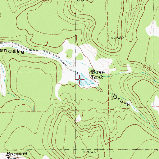 Topographic Map of Mann Tank, NM