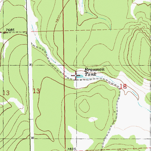 Topographic Map of Brannon Tank, NM