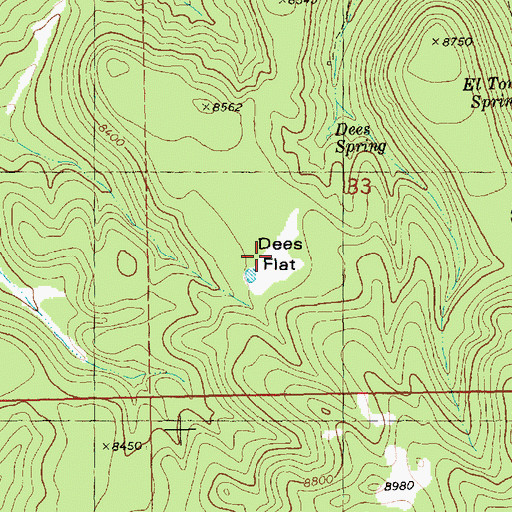 Topographic Map of Dees Flat, NM