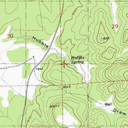 Topographic Map of Hubble Spring, NM