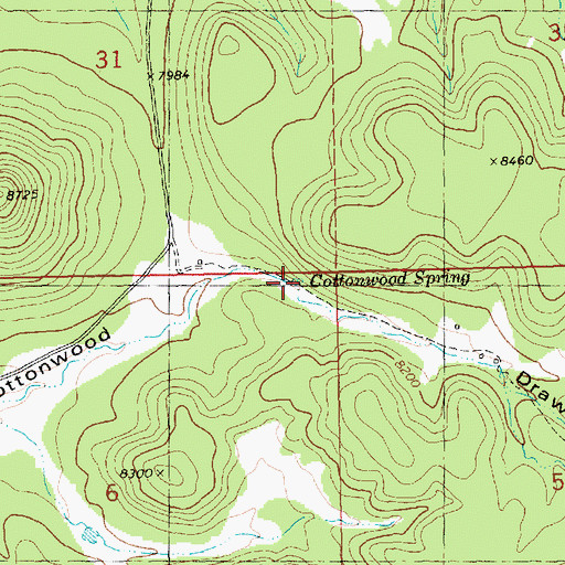 Topographic Map of Cottonwood Spring, NM