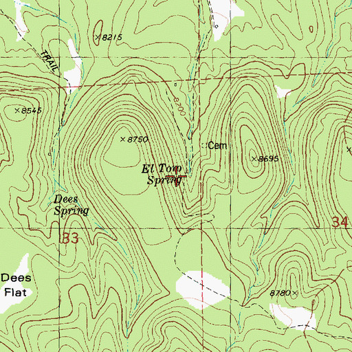 Topographic Map of El Toro Spring, NM