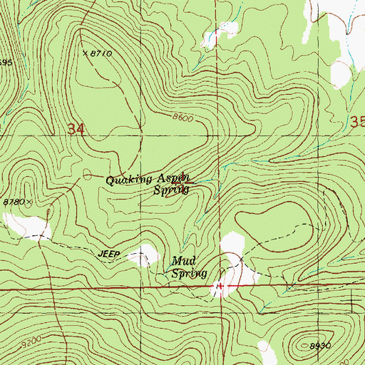 Topographic Map of Quaking Aspen Spring, NM