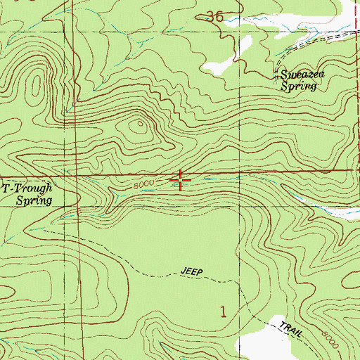 Topographic Map of T-Trough Spring, NM