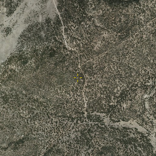 Aerial/Satellite Image of Harcastle Gap, NM