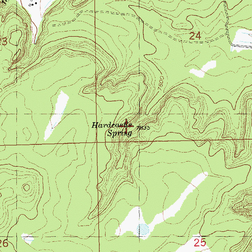 Topographic Map of Hardcastle Spring, NM