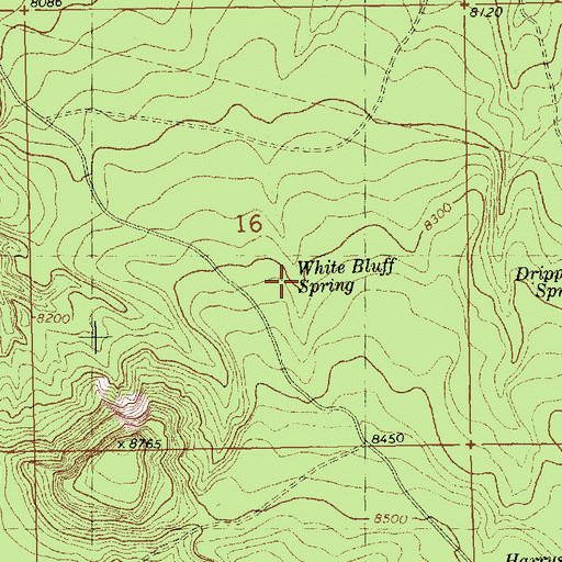 Topographic Map of White Bluff Spring, NM