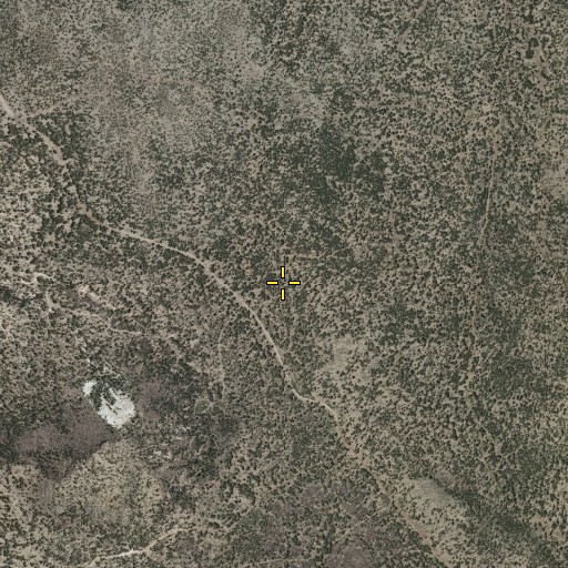 Aerial/Satellite Image of White Bluff Spring, NM