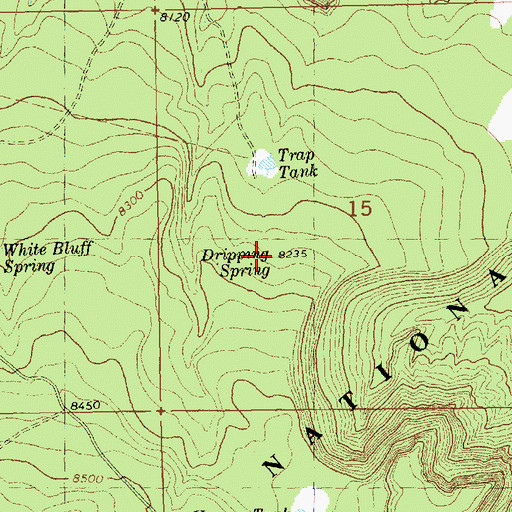Topographic Map of Dripping Spring, NM