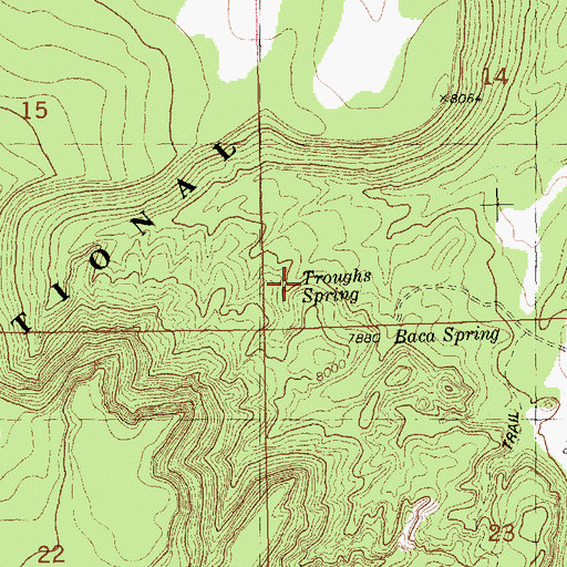 Topographic Map of Troughs Spring, NM