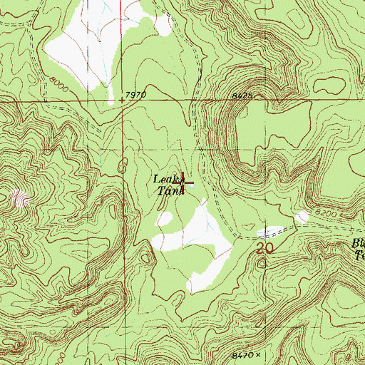 Topographic Map of Leaky Tank, NM