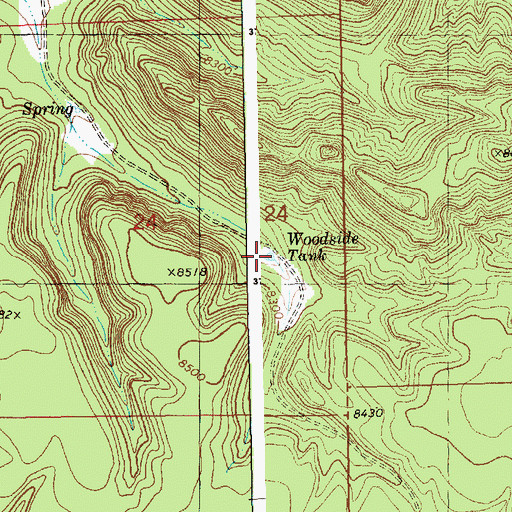 Topographic Map of Woodside Tank, NM