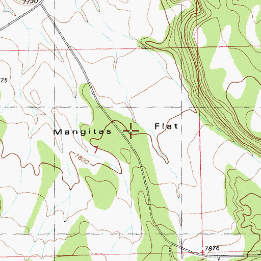 Topographic Map of Mangitas Flat, NM