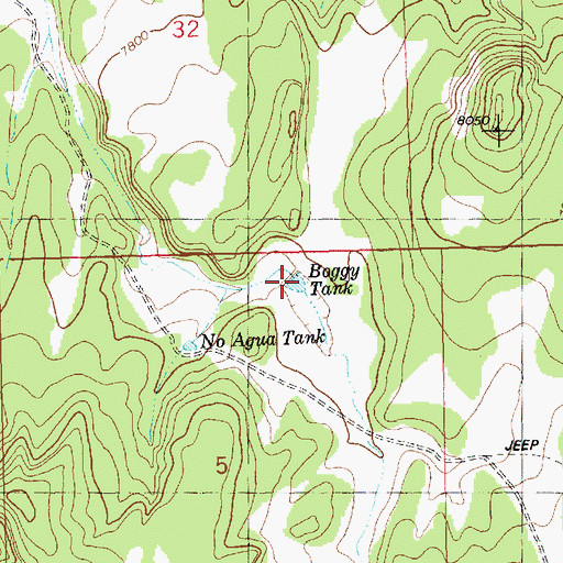 Topographic Map of Boggy Tank, NM