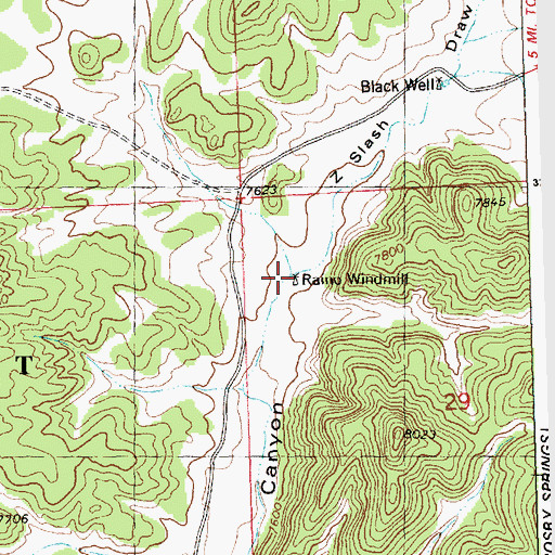 Topographic Map of Raino Windmill, NM